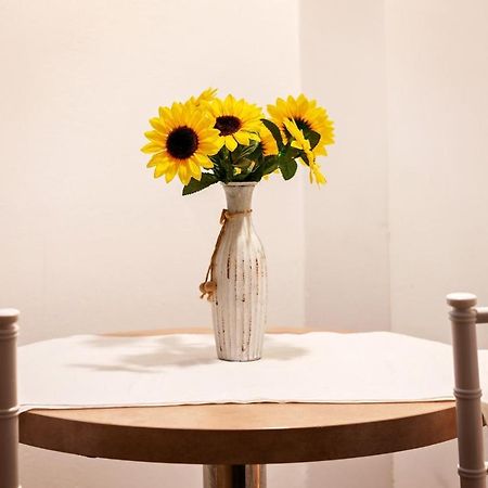 Diac Apartment Center Braşov Dış mekan fotoğraf