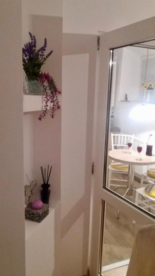 Diac Apartment Center Braşov Dış mekan fotoğraf