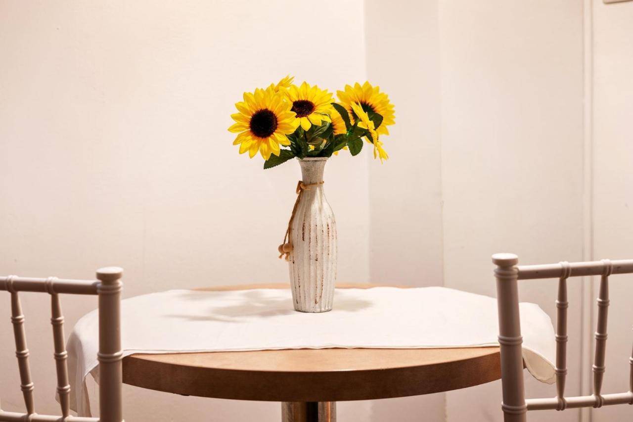 Diac Apartment Center Braşov Dış mekan fotoğraf